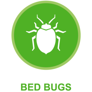 Bed Bug Control Gainesville Florida. Green Guard Pest Control is Gainesville Florida's superior bed bug control specialists.