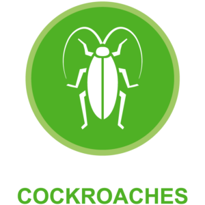 Cockroach Control Gainesville Florida. Green Guard Pest Control is Gainesville Florida's superior cokroach control specialists.