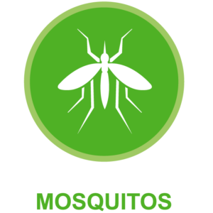 Mosquito Control Gainesville Florida. Green Guard Pest Control is Gainesville Florida's superior mosquito control specialists.