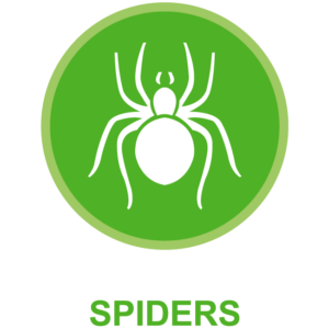 Spider Control Gainesville Florida. Green Guard Pest Control is Gainesville Florida's superior spider control specialists.