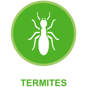 Termite Control Gainesville Florida. Green Guard Pest Control is Gainesville Florida's superior termite control specialists.